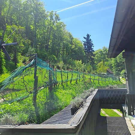 Das Altsteirische Landhaus - La Maison De Pronegg - Feriendomizil Im Biosphaerenpark Wienerwald Pressbaum Dış mekan fotoğraf