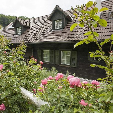 Das Altsteirische Landhaus - La Maison De Pronegg - Feriendomizil Im Biosphaerenpark Wienerwald Pressbaum Oda fotoğraf