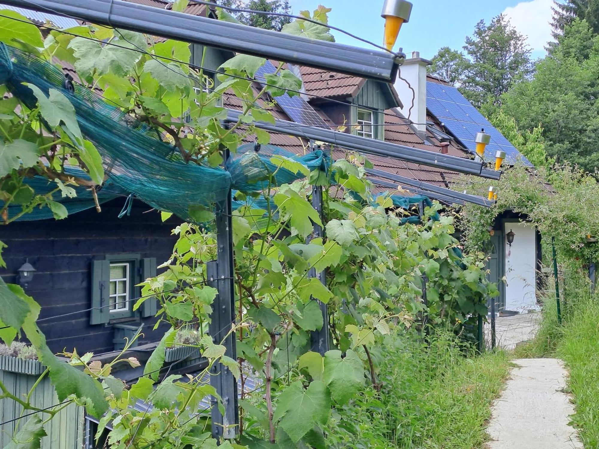 Das Altsteirische Landhaus - La Maison De Pronegg - Feriendomizil Im Biosphaerenpark Wienerwald Pressbaum Dış mekan fotoğraf