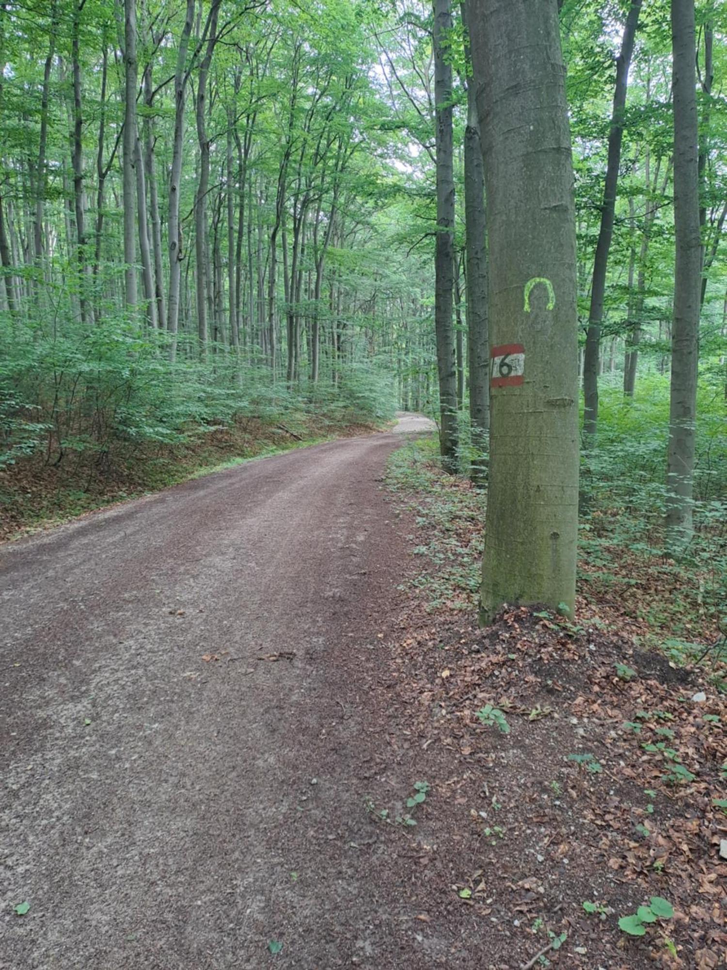 Das Altsteirische Landhaus - La Maison De Pronegg - Feriendomizil Im Biosphaerenpark Wienerwald Pressbaum Dış mekan fotoğraf