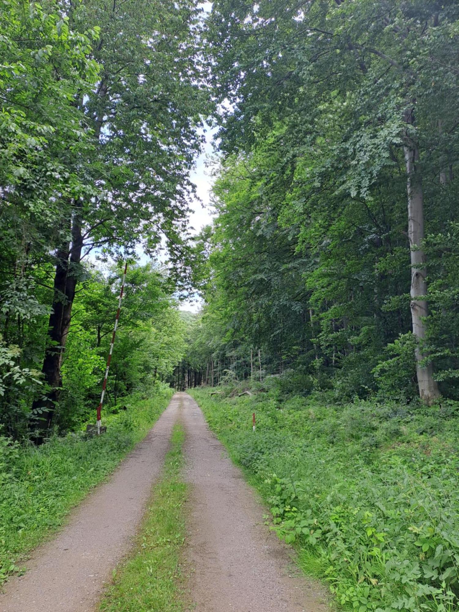 Das Altsteirische Landhaus - La Maison De Pronegg - Feriendomizil Im Biosphaerenpark Wienerwald Pressbaum Dış mekan fotoğraf