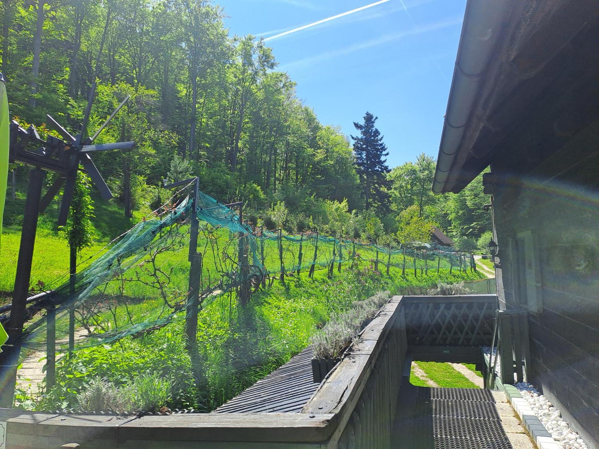 Das Altsteirische Landhaus - La Maison De Pronegg - Feriendomizil Im Biosphaerenpark Wienerwald Pressbaum Dış mekan fotoğraf
