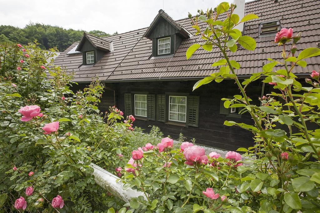 Das Altsteirische Landhaus - La Maison De Pronegg - Feriendomizil Im Biosphaerenpark Wienerwald Pressbaum Oda fotoğraf